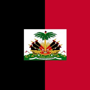 Haiti Flag Backdrop